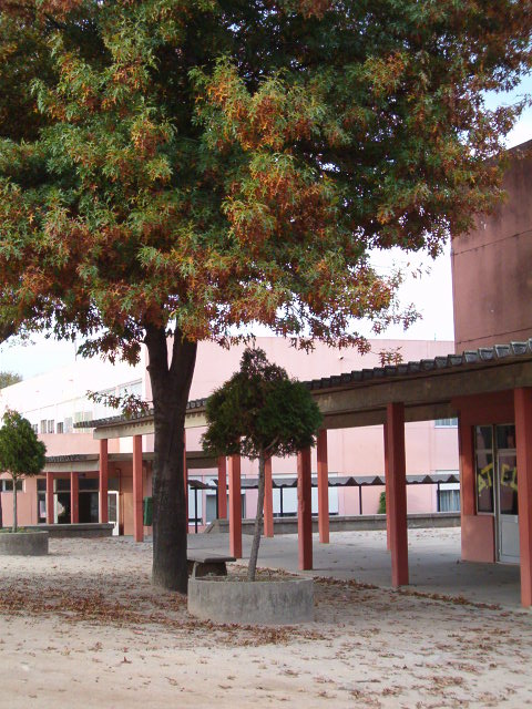 Exterior (44).JPG
